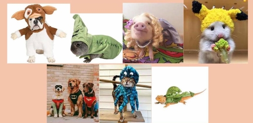 Costume Collage